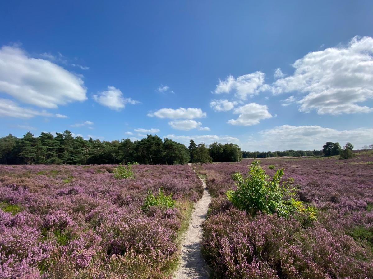 Wapenveld La Vita Veluwe المظهر الخارجي الصورة